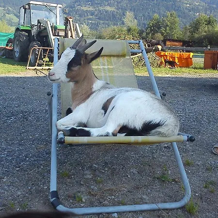 ゲストハウス Hanslhof