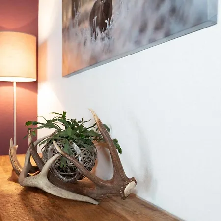 Hanslhof ゲストハウス